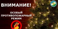 На период новогодних каникул в республике будет действовать особый противопожарный режим - Гафурийский район