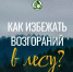 Как избежать возгораний в лесу? - Гафурийский район